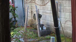 �N���b�N���Ċg��